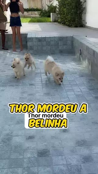hammer ni thor pinayflix|You might also like .